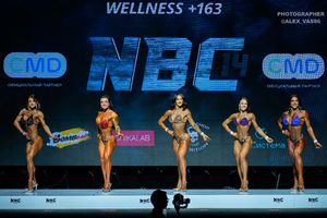 WELLNESS +163